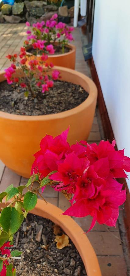 Summer Sand Holiday Cottages สกอตต์เบิร์ก ภายนอก รูปภาพ