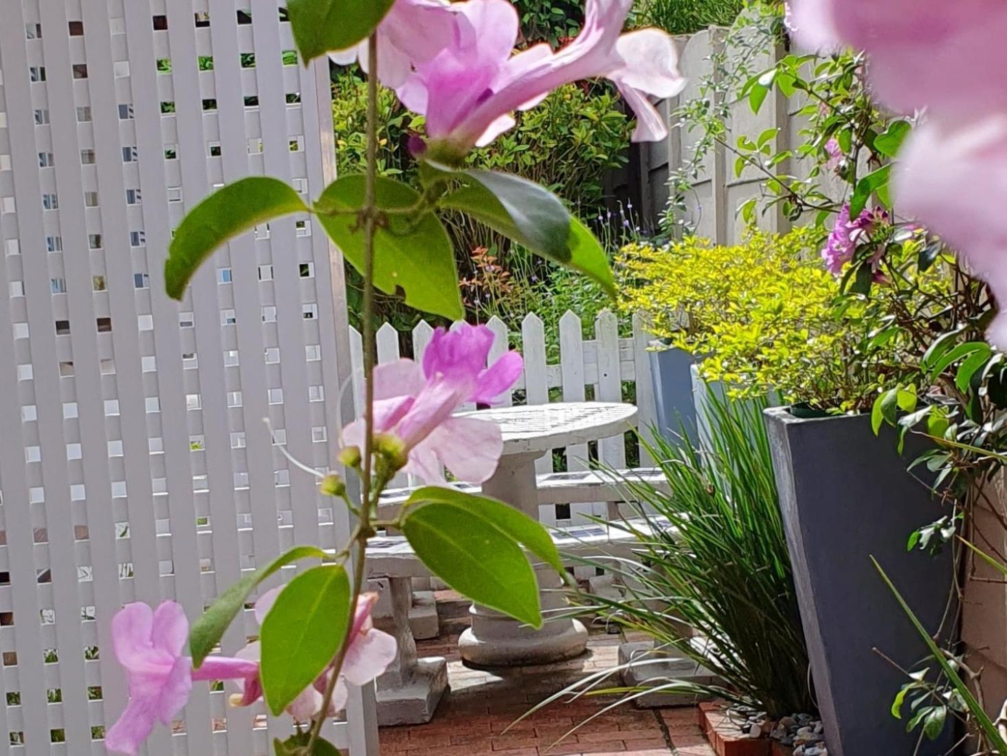 Summer Sand Holiday Cottages สกอตต์เบิร์ก ภายนอก รูปภาพ